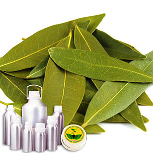 Laurel Leaf Oil