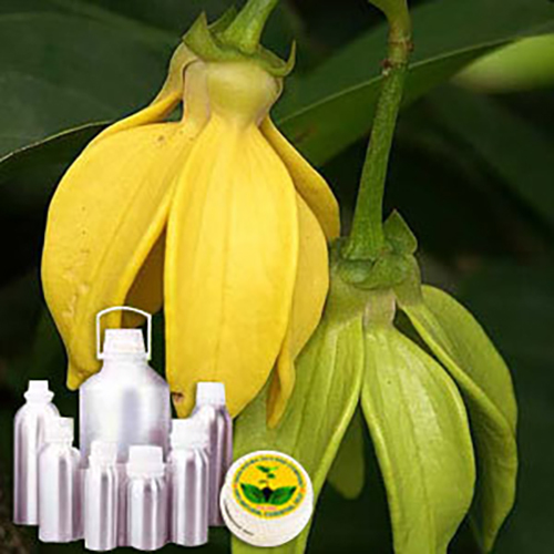 Ylang Ylang Oil Madgascar