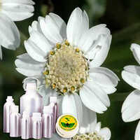 Yarrow Oil
