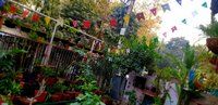 Colorful Wooden Buntings