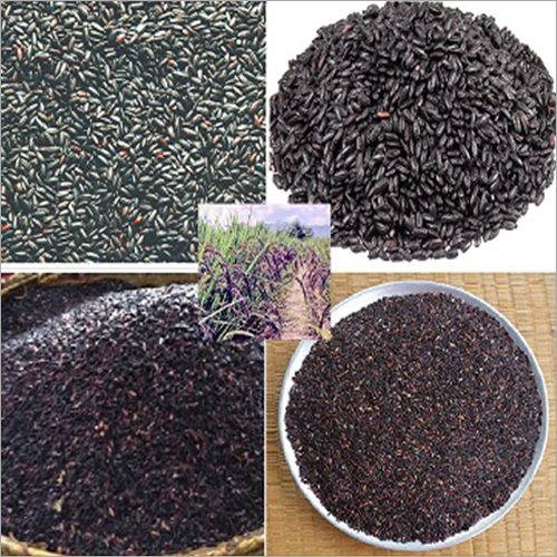 Organic Black Rice