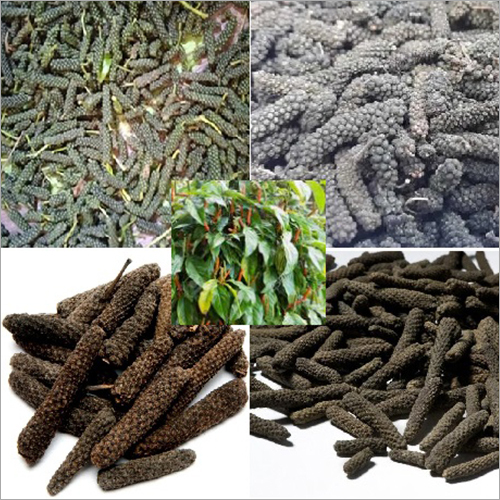 Black And Grey Long Pepper