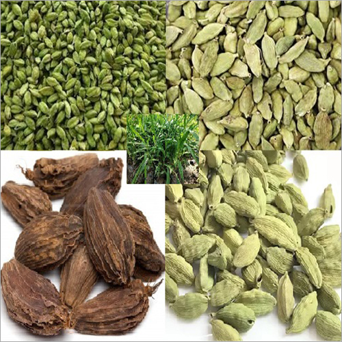 Green And Brown Natural Cardamom