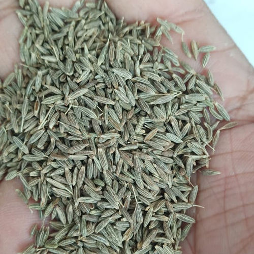 Dried Cumin Seeds