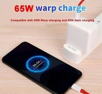 Mobile Chargers in Type-C TO Type-C Cable