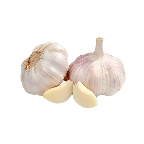 Common Raw Garlic