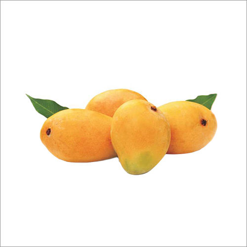 Common Dasheri Mango