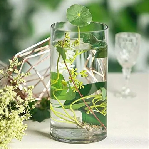 6 Inch Floral Wide Cylinder Glass Vase