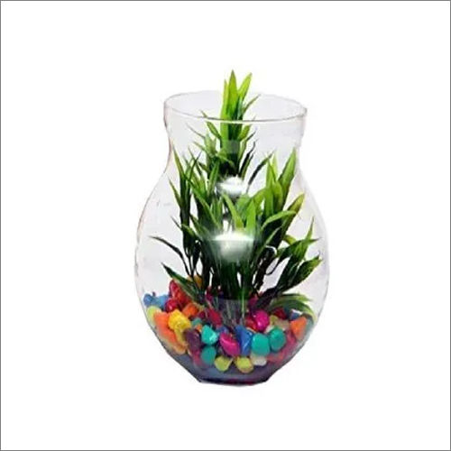 6 Inch Glass Flower Vase