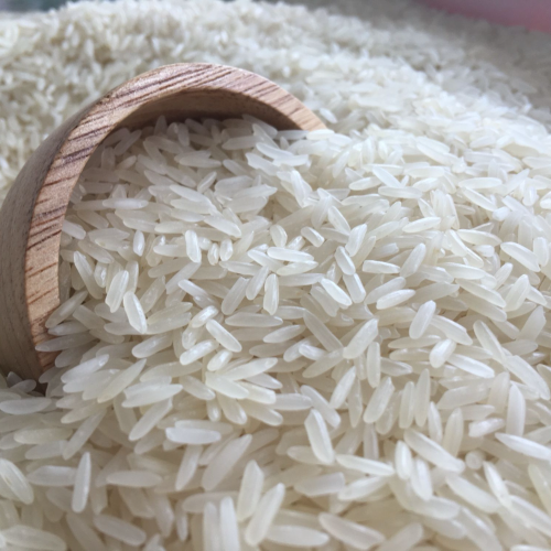 Thai Hom Mali Rice - Moisture 14%, Broken Kernels Less Than 1% | Sortexed, 50 kg PP Bags, Premium Quality for Export