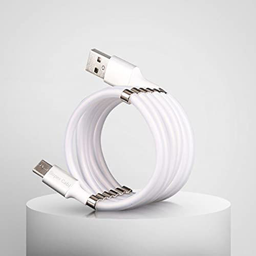 Magnetic Organized Cable C type