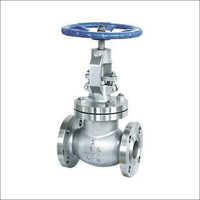 Steam Globe Valve