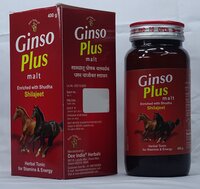 Ginso Plus Malt