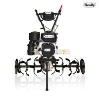 Really 700g Petrol Power Weeder - Capacity: 48 Acre/hr