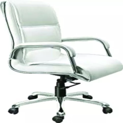 Director Chair Application: Office