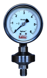Compact Sealed Diaphragm Gauge - 4" Stainless Steel, Bottom Mounting, G1/4 Connection, Class 1.6 Accuracy, 0-6 Bar Pressure Range, -20 To 80â°c Operating Temperature