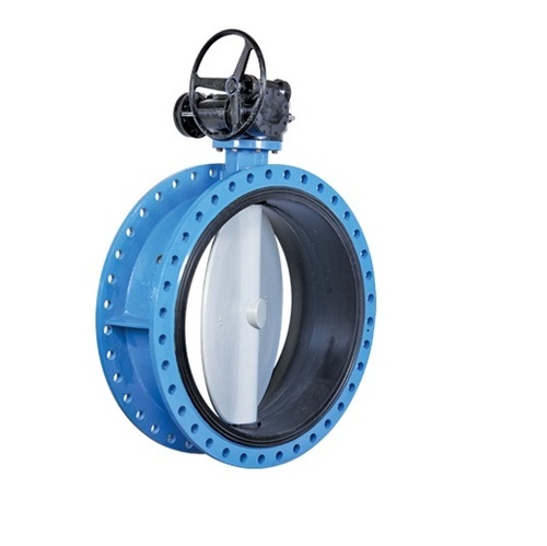 Flanged end butterfly valve