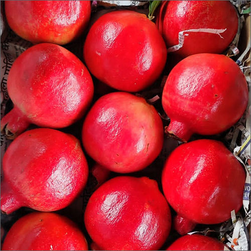 Common Fresh Red Pomegranate