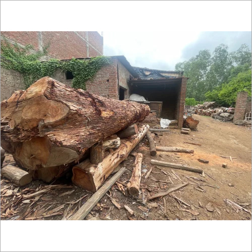Timber Wood Log