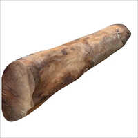 High Quality Round Eucalyptus Log