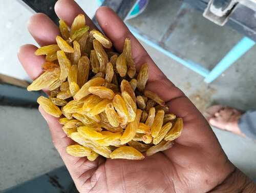 SBK40 Raisin