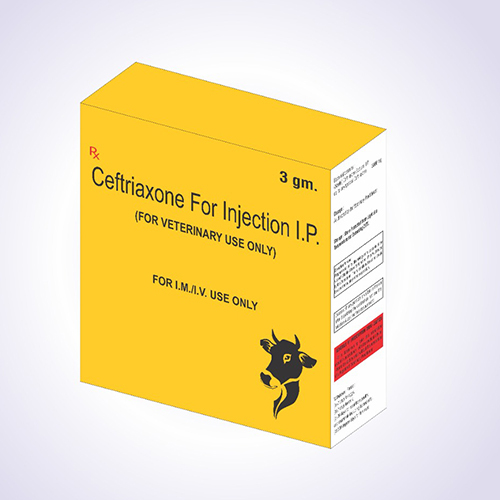 Ceftriaxone Injection (3000 gm)
