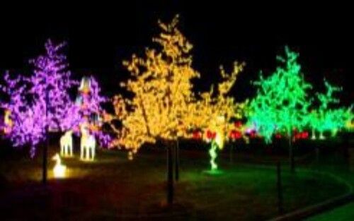 Decorative LED Cherry Trees