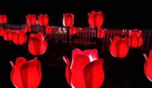 Glowing LED Tulip Flowers
