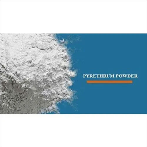 White Pyrethrum Powder