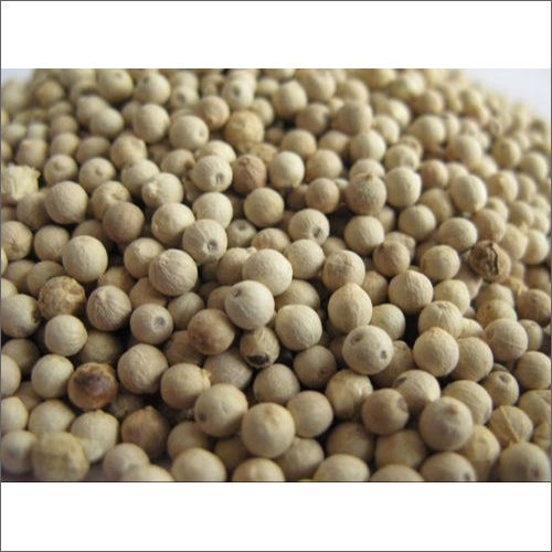 White Pepper