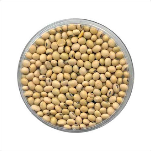 Certified Soybean Seeds