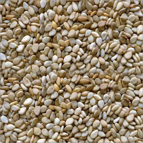 Common Certified Sesame Seeds