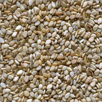 Certified Sesame Seeds