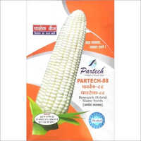 Research Hybrid Maize Seeds