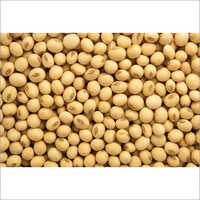 Research Seeds