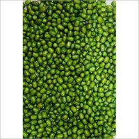 Research Moong Seeds
