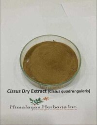 Plant Herbal Dry Extract