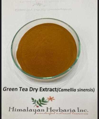 Green Tea Extract
