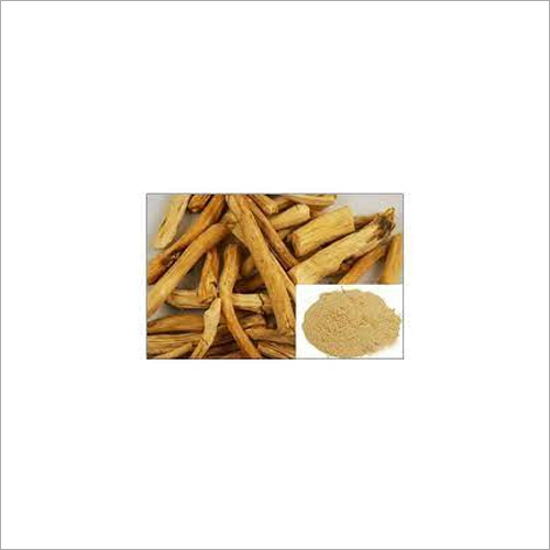 Shatavari Extract