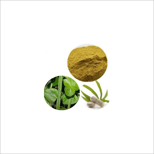 Cissus Extract