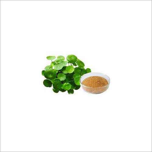 Bacopa Bacoside Extract