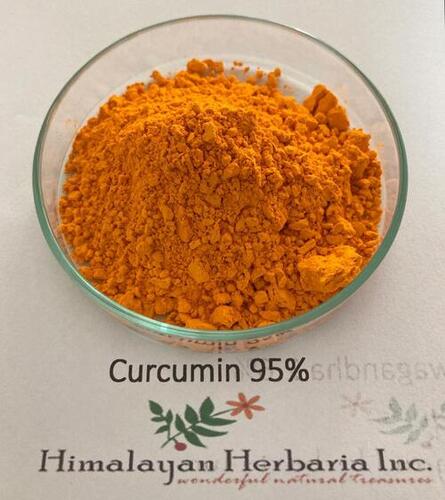 Curcumin Extract