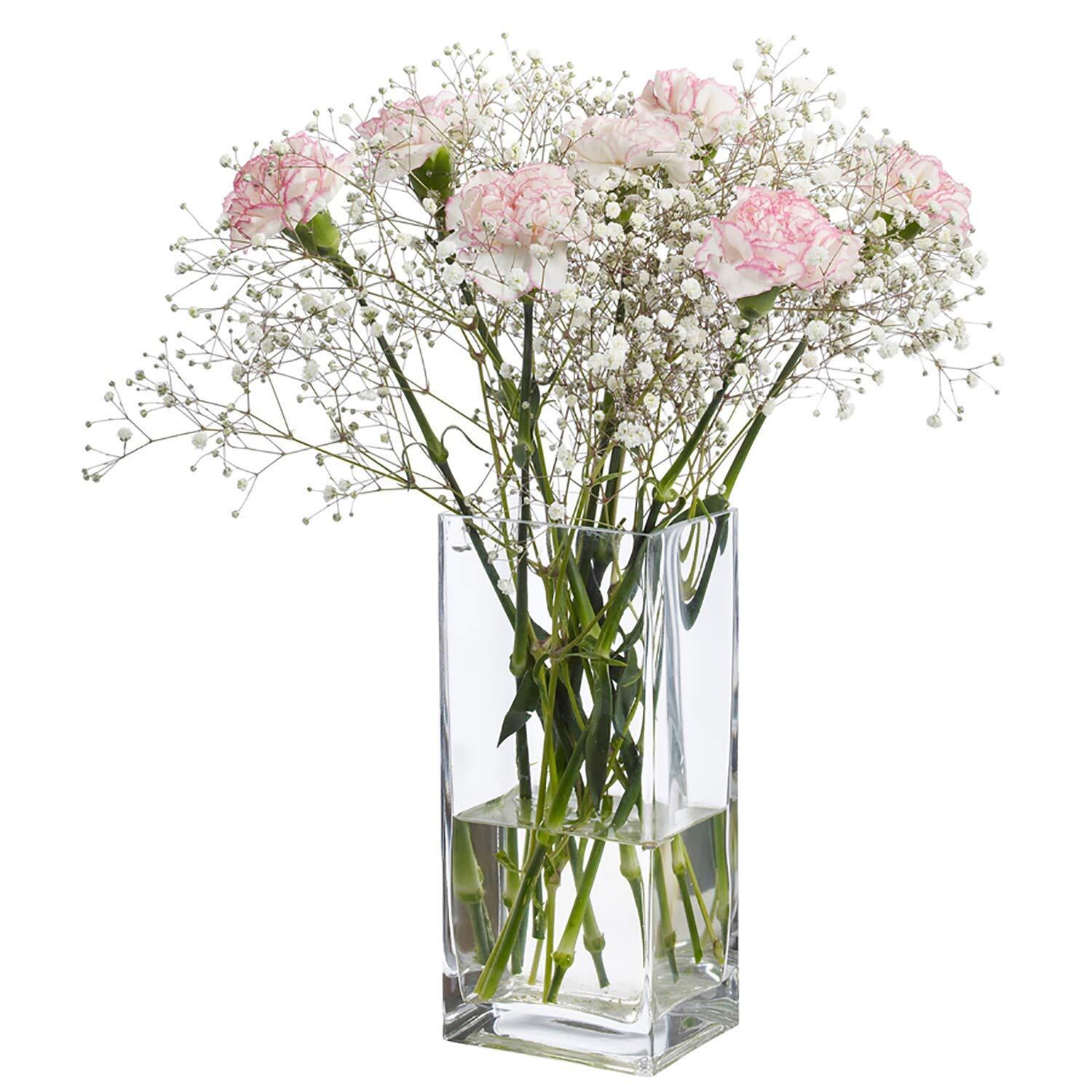 10 Inch Cylindrical Glass Vases