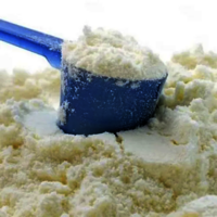 High quality dairy products whole milk powder