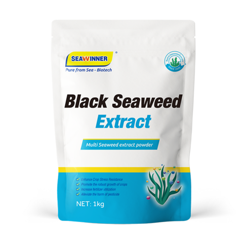 Black Seaweed Extract Powder and Flake