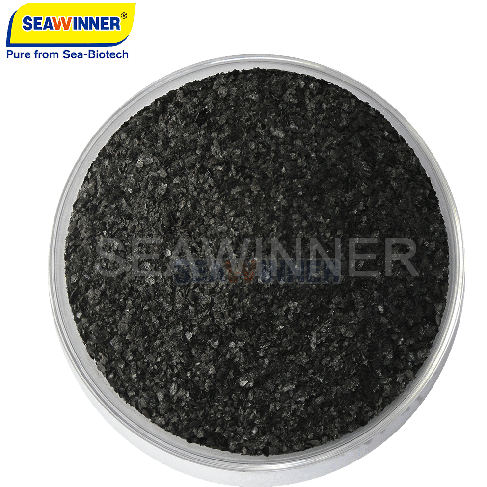 Black Seaweed Extract Powder and Flake