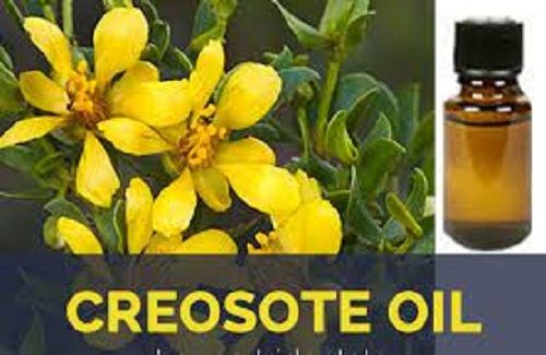 Creosote oil