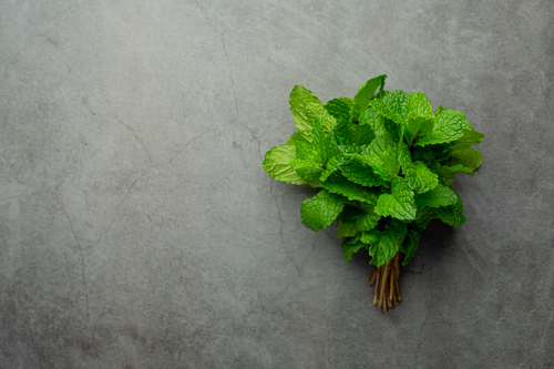Basil OIl