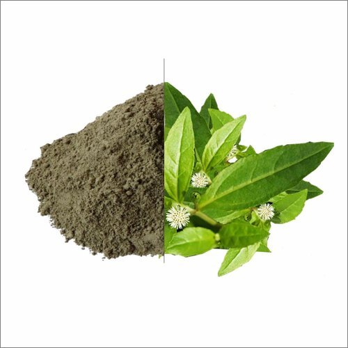 Bhringraj Powder Ingredients: Herbs