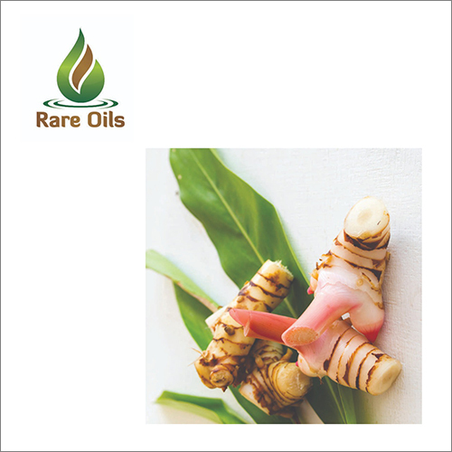 Galangal Essential Oil